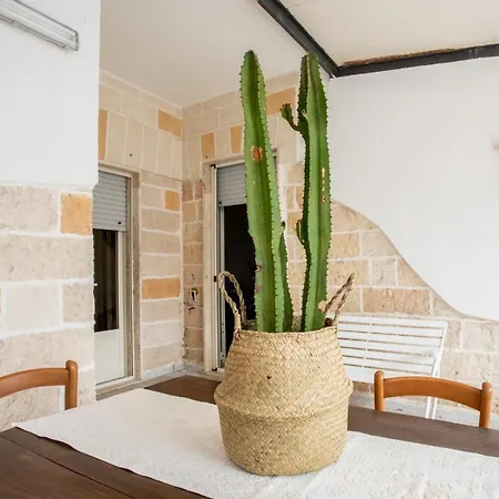 Fikus Apartment Porto Cesareo